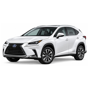 NX 300H